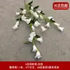 Decoração de Casamento com Flores Brancas, Peônias, Phalaenopsis, Rosas, Arranjos Florais de Teto e Arranjos Florais Pretos para o Salão de Casamento