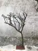 Ramas de árbol secas para paisajismo, árboles de los deseos, árboles muertos, decoraciones de patios interiores, ramas de árbol, troncos y árboles decorativos.