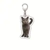 Gato Plátano Gato Feliz Llavero Acrílico Gato Comida Paquete de Expresiones de Cabeza de Gato Llavero Divertido