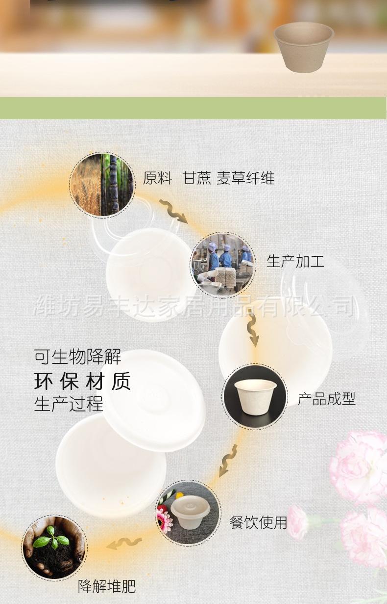 酱料杯综合(1)_006.jpg