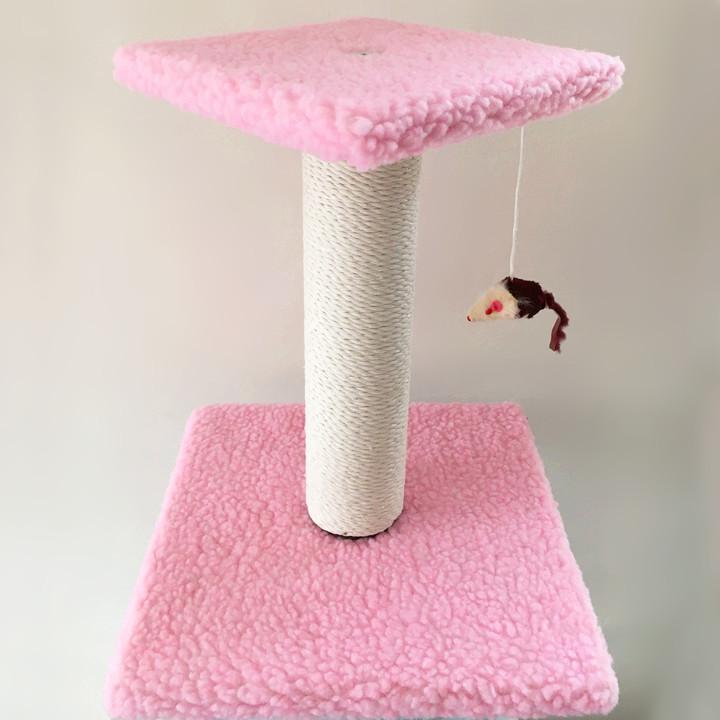 QQ图片20160524100319