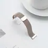 Adecuado para Samsung, Xiaomi, Huawei Gt 4m Lanis Correa Magnética para Reloj, Material Universal de Acero Inoxidable