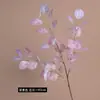 Hojas de Eucalipto Artificiales de Dinero para Fotografía al Aire Libre, Decoraciones de Boda, Decoración del Hogar y Vegetación Falsa