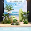 Cenário de Montagem de Evento com Tema de Verão Display de Loja em Shopping de Verão Decoração de Prancha de Surf Fundo de Decoração com Placa Kt