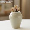 Vaso Pequeno para Suculentas com Design de Pontos, Cerâmica Grossa Criativa de Jingdezhen de Alta Temperatura, Forma Controlada, Esmalte Brilhante Respirável