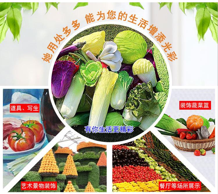 仿真蔬菜-蔬菜综合_04.jpg