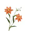 Lírio de Flores Duplas de Duas Cabeças Flores Artificiais de Alta Qualidade Transfronteiriças Flor de Mesa Flores Artificiais Estilo Europeu Luxo Acessível Acessórios para Casa Guia de Fotografia