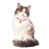 Collar para gato, cascabel para gato, tejido, joyería para el cuello de gato, collar decorativo para perro pequeño, collar para mascota