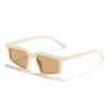 Nuevas Gafas de Sol Poligonales Estilo Ojo de Gato de Rain para Hombre, Retro Europeo y Americano, Simples y Elegantes, Gafas de Sol para Fotografía Callejera Estilo Ins