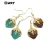 Wt-E789 Ojo de Tigre Piedra Brillante Colgante Pequeño Chapado en Oro de 18K Pendientes con Gancho Accesorios Festivos Regalo para Mujeres