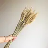 Pinha Flores Secas Artesanais Adereços de Fotografia Materiais Florais DIY Decorações para Sala de Estar Presentes de Natal
