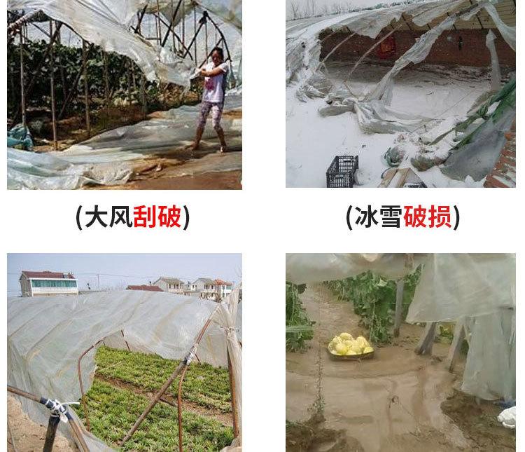 10米_03.jpg