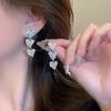 Pendientes de Aro Lisos Y2K Sexy Estilo Frío Ins Pendientes Exagerados Nicho de Gama Alta Estilo Caliente Pendientes de Aro Estilo Hong Kong