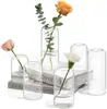 Amazon traje florero pequeño arreglo floral alto sentido florero de vidrio hidropónico adornos estilo ins decoración fábrica de comercio exterior