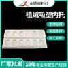 Embalagem Blister para Produtos Eletrônicos 3C, Bandeja Interna Blister, Fornecedor Fabricante de Blister Flocado Branco PS, Personalizado de acordo com Desenhos