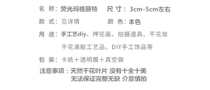 荧光玛格丽特.png