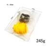 Llave de terraja para tubería de agua Yun Bei juego de 6 piezas llave de macho terraja para tubo de plástico pvc 4 puntos 6 puntos 1 pulgada