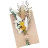 Flores Secas, Flores Preservadas, Ramilletes de Boda para Novia y Dama de Honor, Decoraciones para Cajas de Regalo, Vestidos para Fiestas de Celebración, Mini Ramos, Accesorios
