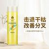 Acondicionador Bee Flower, Suave, Suave, Hidratante, Brillante, Repara Dañado, Anti-Frizz, Champú Limpiador y Aromático
