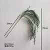 Hierba de Caña Artificial, Hierba Bigote de Dragón, Planta Verde de Moda para Paisajismo, Material de Flor Colgante para Techo, Decoración Suave Estilo Bosque para Bodas al por Mayor