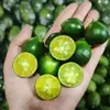 Kumquats Pequeños Frescos de Hainan 2.5kg Kumquats Verdes Limones Pequeños Limones Perfumados Frutas Frescas de Temporada para Tiendas de Té con Leche