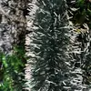 Decoraciones Navideñas Transfronterizas, Verde Oscuro con Lentejuela de Borde Blanco, Decoraciones para Fiestas, Guirnaldas Festivas, Cintas de Colores, Cintas Teñidas, Cintas Encriptadas