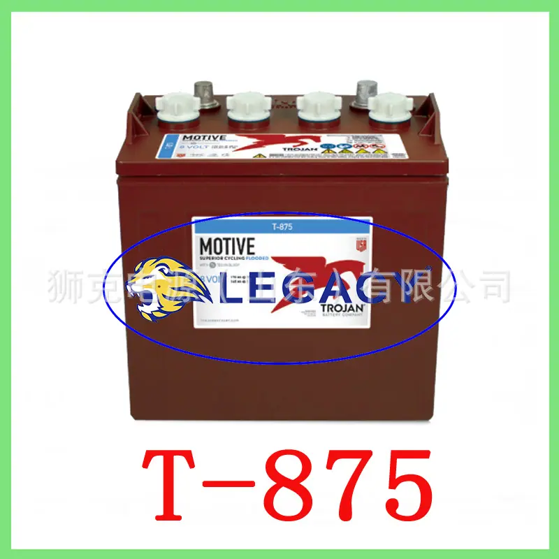 T-875-2.jpg