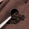 Cuchara de café 2 en 1 estilo nórdico dorada de acero inoxidable clip sellador cuchara medidora de granos de café con clip