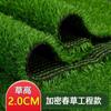 Césped artificial, alfombra, césped artificial, césped artificial para jardín de infantes, césped artificial para recintos de ingeniería, césped artificial para campos de fútbol.