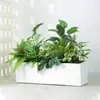 Simulación Planta Verde Paisajismo Maceta de Flores Divisor de Piso Floristería Artística Paisaje de Plantas Combinación de Macetas de Flores Planta en Maceta Artificial Bonsái Decoración