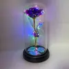 Regalos Creativos Transfronterizos para el Día de San Valentín, Adornos de Luz de Noche con Cubierta de Vidrio de Rosa, Iluminación para Diseño de Escenas, Accesorios al por Mayor