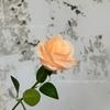 Simulación Ponerse con una Mano Flor Falsa de Rosa Flor Artificial Flor de Boda Flor Artificial Flor Falsa Decoración de Boda Flor de Seda