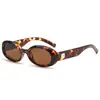 Óculos de Sol Cat-Eye para Mulheres, Estilo Europeu e Americano, Armação Oval Pequena, Escolhas de Influenciadores da Moda, Óculos de Sol Retrô Americanos