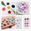 Yanlai flor vermelha cola gota flor seca Estrela/redondo Yanlai flor vermelha espécime vegetal flor real em relevo joia flor