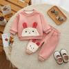 Roupas infantis Outono e inverno Meninas terno Coelho Roupas infantis Inverno forrado de lã Bebê Menina Duas peças engrossado Infantil terno