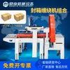 Máquina de selagem e enfardamento de enrolamento Dingye FXW3040, máquina de enfardamento e selagem de fita totalmente automática, máquina de selagem cruzada