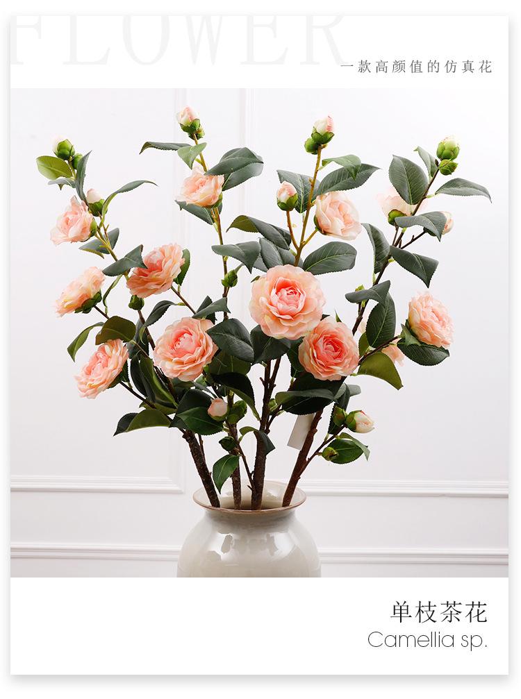 单支茶花_01.jpg