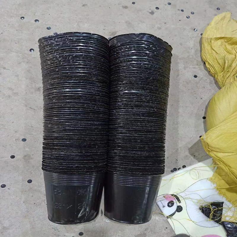 微信图片_20191008084717