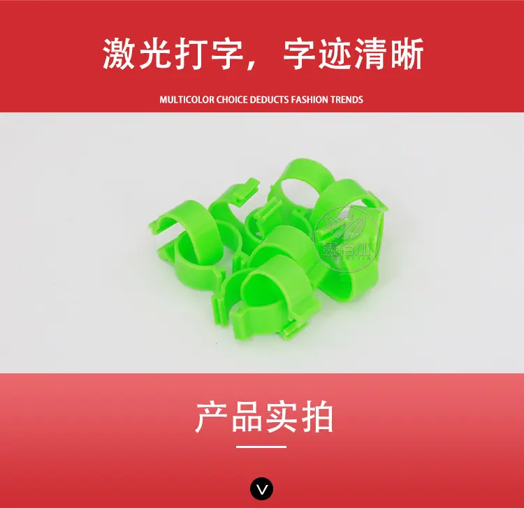 鸡脚环CA详情页(6).jpg