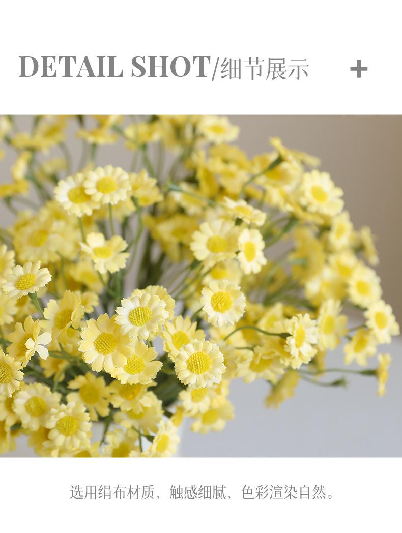 妙彤6枝手札小雏菊_11.jpg