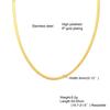 Collar para mujer estilo ins collar europeo y americano cadena de espiga cadena clavicular collar de acero inoxidable 3MM 4mm5mm collar de cadena plana de serpiente