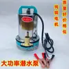 Bomba Sumergible DC de Pequeño Tamaño y Alto Cabezal 12V 24V 48-60V Bomba de Agua Eléctrica con Cabezal Tipo C para Vehículo a Batería