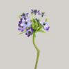 Decoración de interiores para el hogar, simulación de flores falsas, diseño floral de terciopelo único, simulación de lirio del Sagrado Corazón, ciruela Nestlé