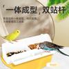 Comedero para palomas de doble rejilla antivuelco, comedero para pájaros loro, dispensador de agua, fregadero, cuenco de comida para pájaros, suministros para palomas