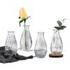 Ins estilo estilo nórdico pequeno vaso transparente decoração de vidro fresco sala de estar flor seca arranjo de flores decoração de mesa