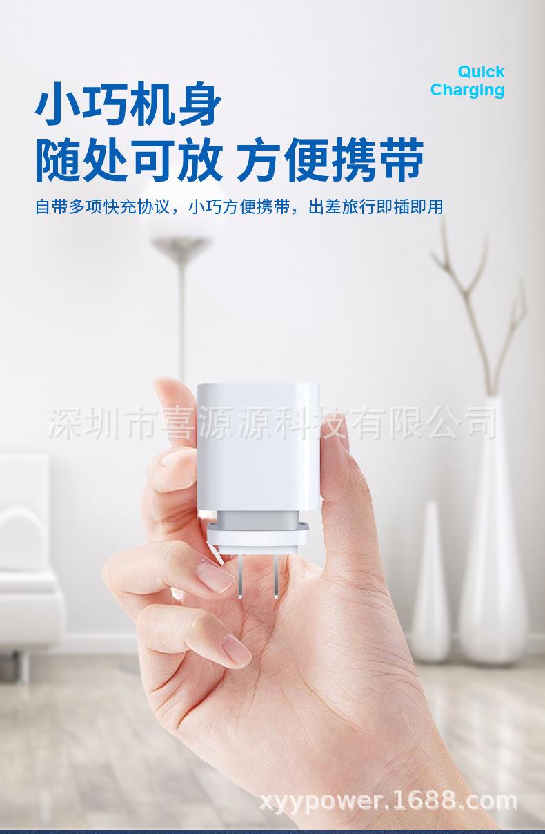PD20W可换头