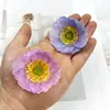 Cabeças de flores de papoula pequenas artificiais materiais para grampo de cabelo de margarida DIY arranjo de flores decorações para fotografia em casa