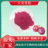 Polvo de pitaya 99% polvo de fruta del dragón liofilizado polvo de jugo de fruta del dragón rojo tonifica manchas grande favorablemente