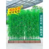 Bambú Artificial Decorativo de Bambú Simulado Paisajismo de Hotel Pantalla Divisoria para Sala de Estar Plantas Verdes de Plástico en Maceta para Interiores
