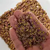Manicure flor de cinco pétalas joia resina fosca tridimensional flor de cerejeira sólida mini flor branca para unha aplicação diamante decoração atacado